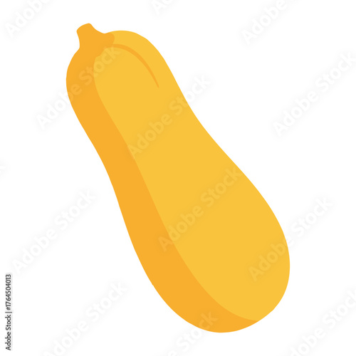 Simple flat illustration of a single ripe butternut squash on white background