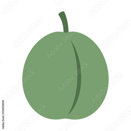 Simple flat illustration of a green plum with a stem on a white background