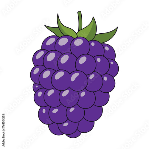 Vibrant purple blackberry with green leaves isolated on white background