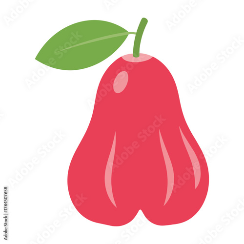 Vibrant red rose apple fruit with a single green leaf illustration
