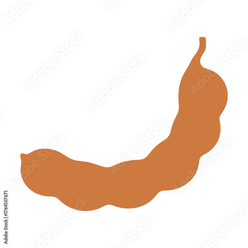 Brown tamarind pod silhouette isolated on white background