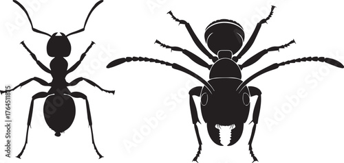 Ants Silhouette Duo Detailed Vector Graphics of Two Distinct Ant Species for Entomology and Educational Purposes