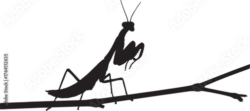 A striking black silhouette of a praying mantis insect resting on a delicate branch, an isolated graphic symbolizing patience and stillness in nature