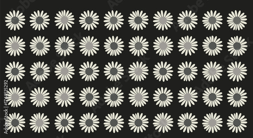 Array of daisies arranged in a grid pattern on a dark background.