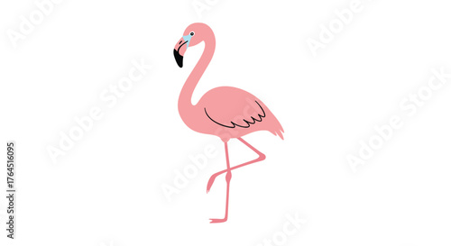 Elegant Pink Flamingo Standing on One Leg Illustration.