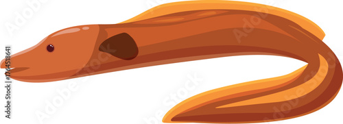 Brown moray eel with orange tail and fins swimming underwater, representing marine wildlife and ocean life