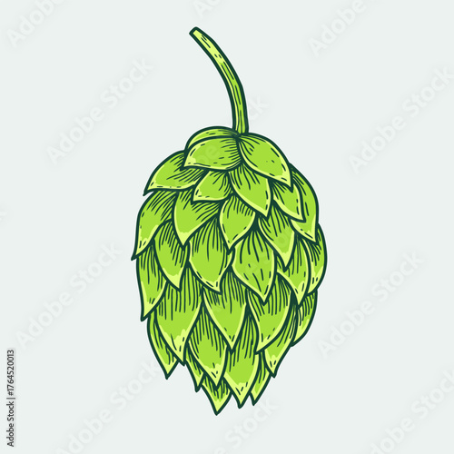 Hand drawn green hop cone vector illustration. Colorful vintage craft beer ingredient graphic