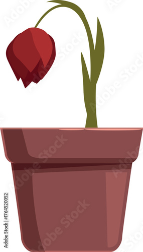 Sad red flower wilting in a terracotta pot, depicting neglect, sadness, or loss