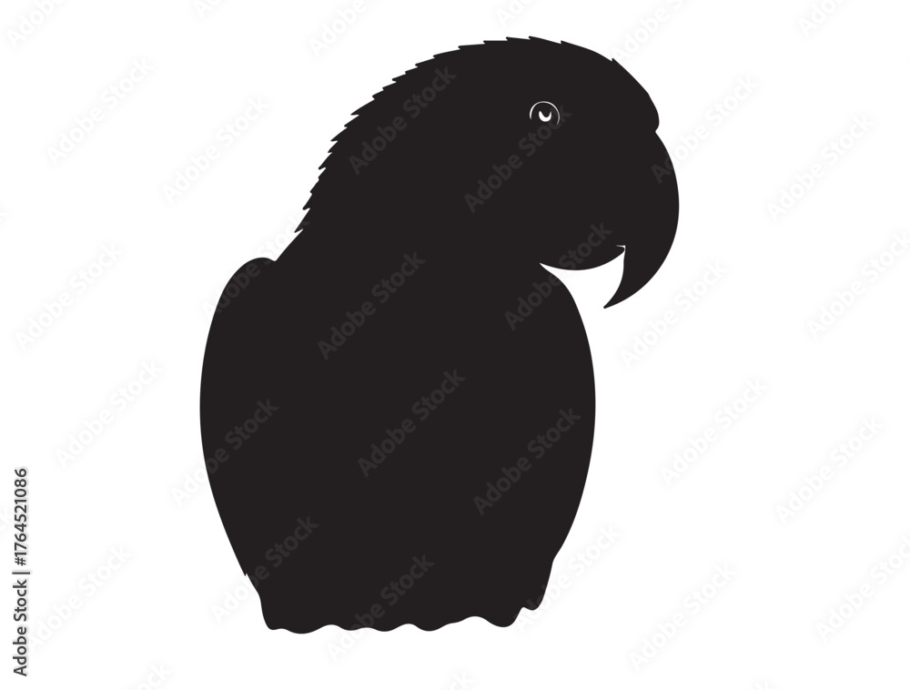 Fototapeta premium Eclectus Parrot Shape icon in silhouette white background.