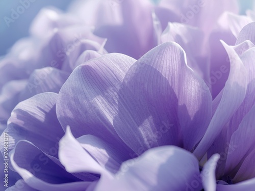 Soft focus macro shot of delicate lavender purple flower petals with a dreamy ethereal glow