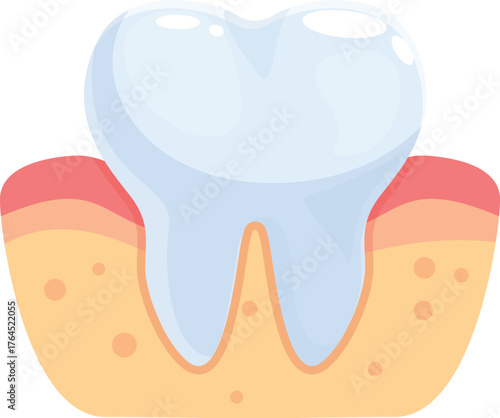 White healthy tooth growing in pink gums representing dental care and hygiene