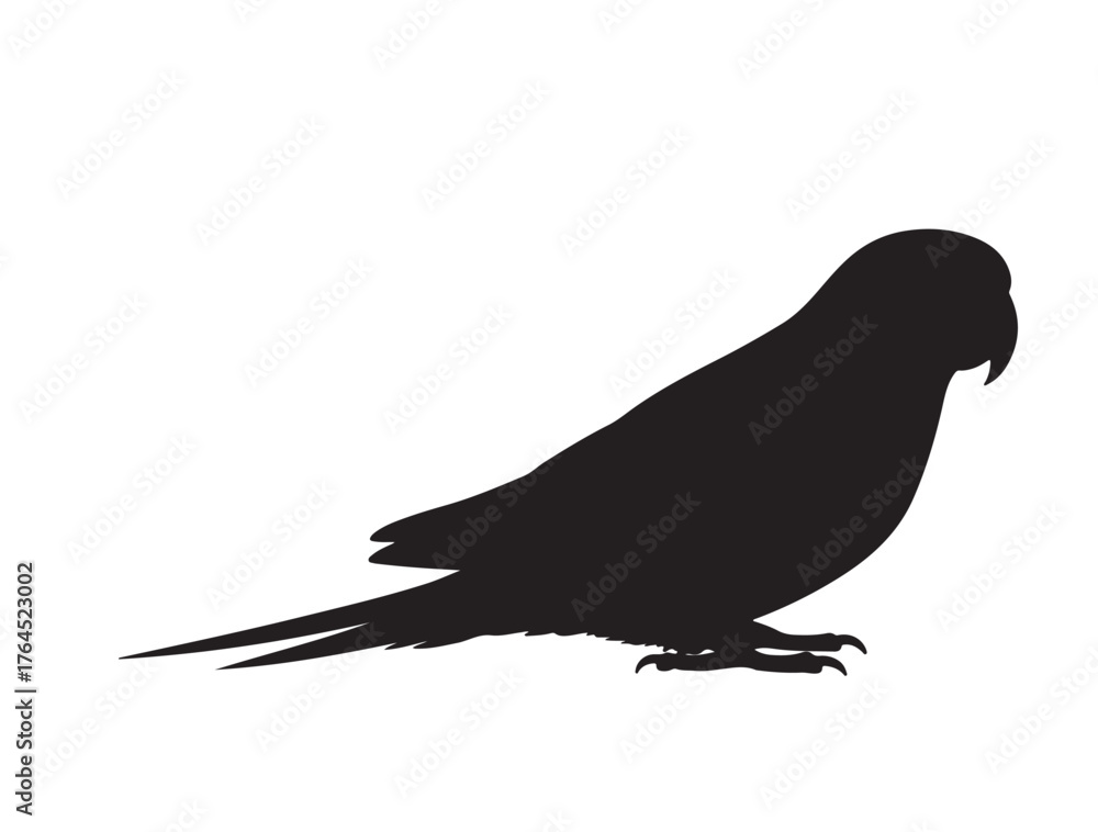 Obraz premium Parakeet Shape icon in silhouette white background.