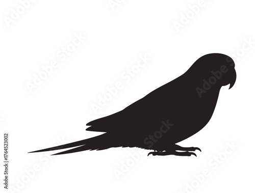 Parakeet Shape icon in silhouette white background.