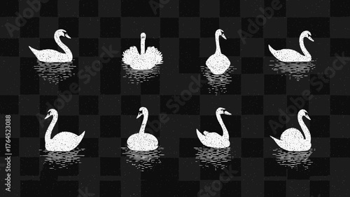Elegant white swans illustration set. Collection of eight stylized graceful birds in various swimming poses on dark water with reflections.