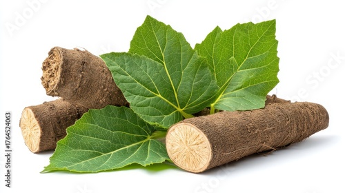 Fototapeta Naklejka Na Ścianę i Meble -  Burdock Root Extract. Closeup of Chinese Spice Burdock Roots on White Background