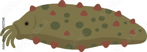 Flat Design Warty Sea Cucumber with Tentacles and Spikes Marine Life Illustration