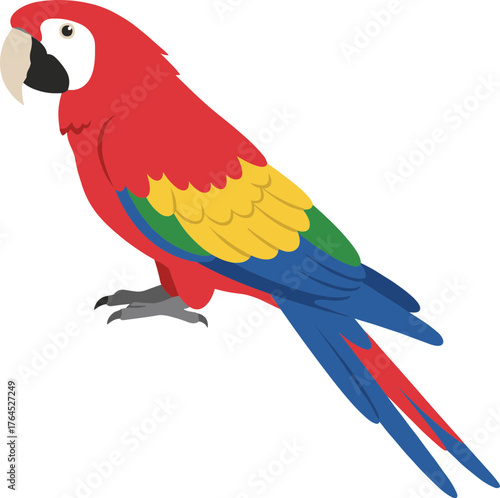Simple Colorful Scarlet Macaw Standing Illustration Isolated On White Background