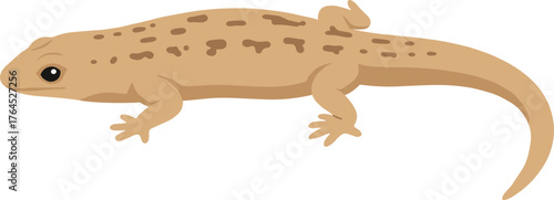 Simple Flat Illustration Spotted Eastern Newt Amphibian Animal