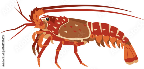 Flat Illustration Detailed Spiny Lobster Sea Creature Aquatic Wildlife Animal