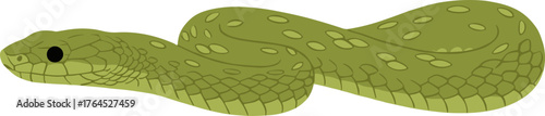 Simple Flat Illustration of Green Viper Snake with Unique Pattern Design