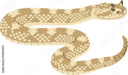 Illustrated Cartoon Horned Rattlesnake Isolated Curvy Shape Creature