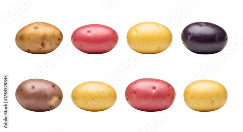 Various colorful potatoes arranged in two rows on a white background, showcasing red, purple, yellow, and brown varieties, perfect for cooking and gardening projects