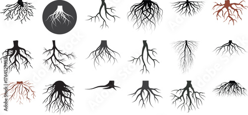 Collection of Black and White Tree Root Illustrations and Silhouettes