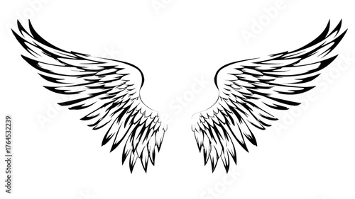 Stylized black and white wings illustration, graphic design element representing freedom, spirituality, power, and fantasy concepts.