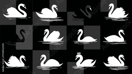 Graceful White and Black Swan Silhouettes Collection: Elegant Water Birds Swimming Vector Illustration Set