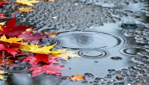 Raindrops on Fall Leaves | Autumn Puddle with Red & Yellow Maple Leaves, creating The Moody Environment 
