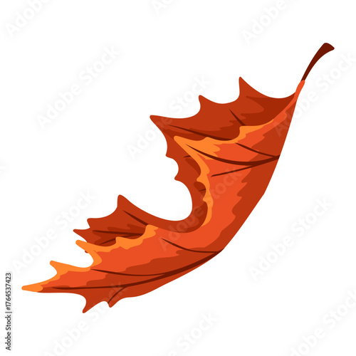 Single red falling maple leaf in autumn colors. Vector hand drawn illustration for fall decor, packaging design, seasonal print, Halloween or Thanksgiving card, sticker