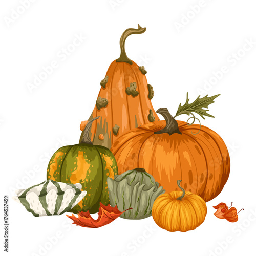 Autumn various pumpkins and forest fall leaves clipart. Seasonal harvest design for greeting card, poster, sticker. Vector hand drawn cartoon illustration isolated on white background