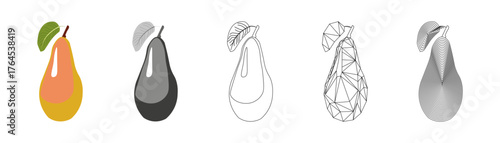 set of autumn fruits graphic drawing