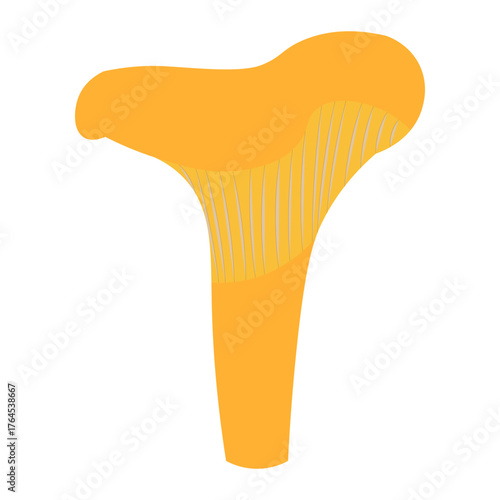 mushroom lysine yellow graphic drawing