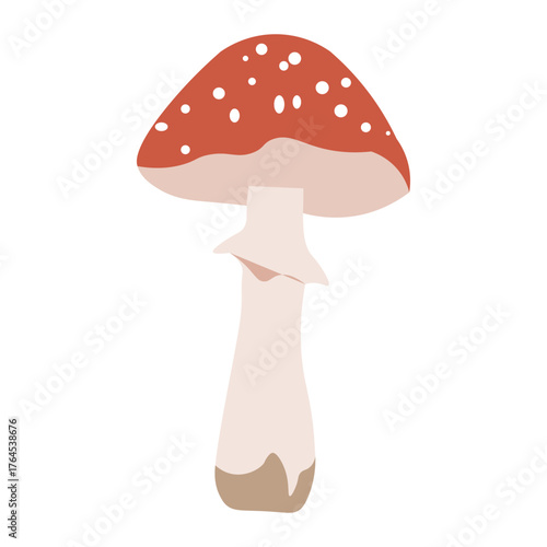 toadstool growing in the forest graphic drawing