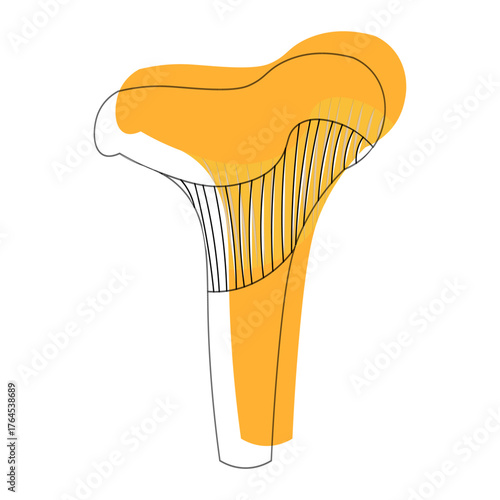 mushroom lysine yellow graphic drawing