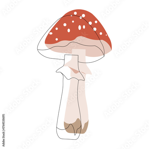 toadstool growing in the forest graphic drawing