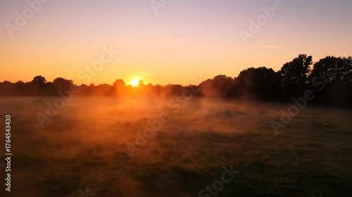 Golden Sunrise in the Meadow: The first rays of sunlight paint the meadow with a soft, golden glow as the sun ascends, creating a tranquil and ethereal landscape.