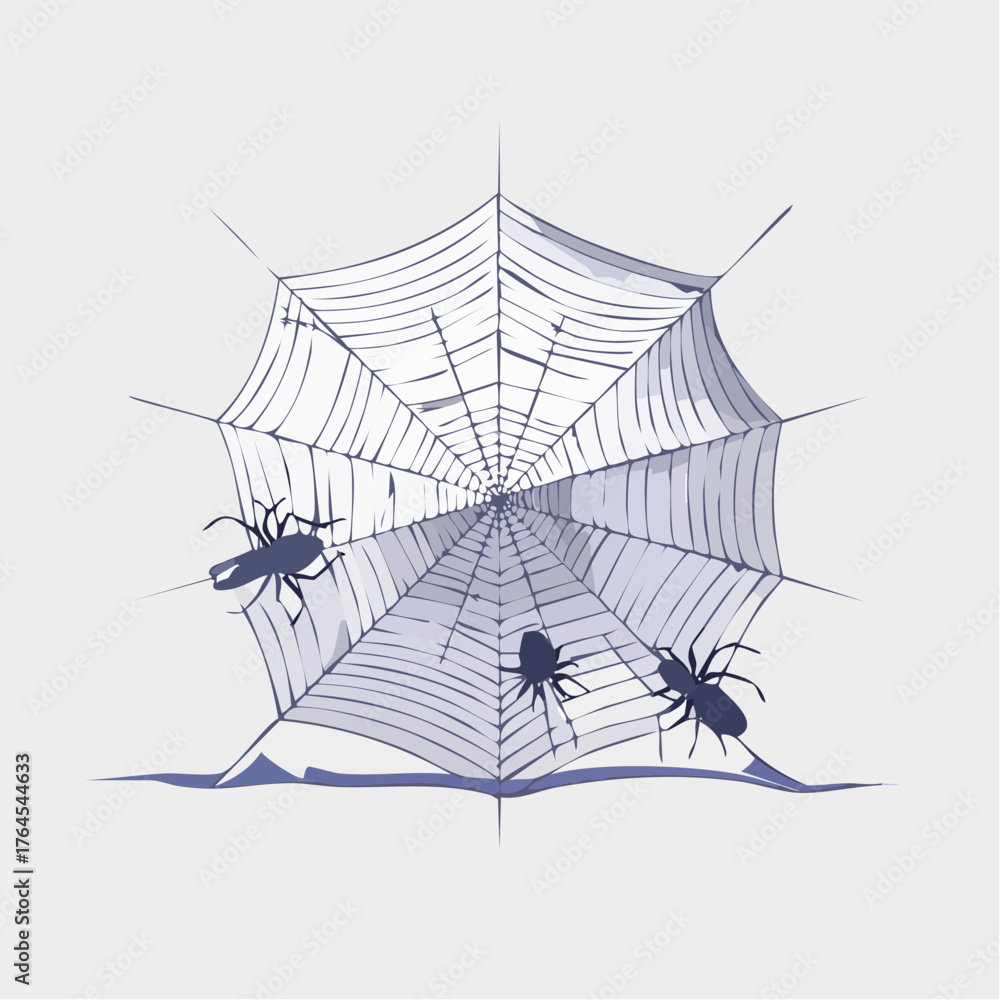 Fototapeta premium A delicate spider web is torn and frayed, its intricate design ruined by an unseen, violent impact.