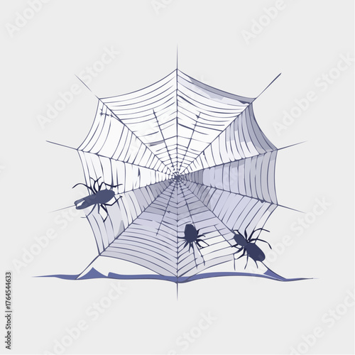 A delicate spider web is torn and frayed, its intricate design ruined by an unseen, violent impact.