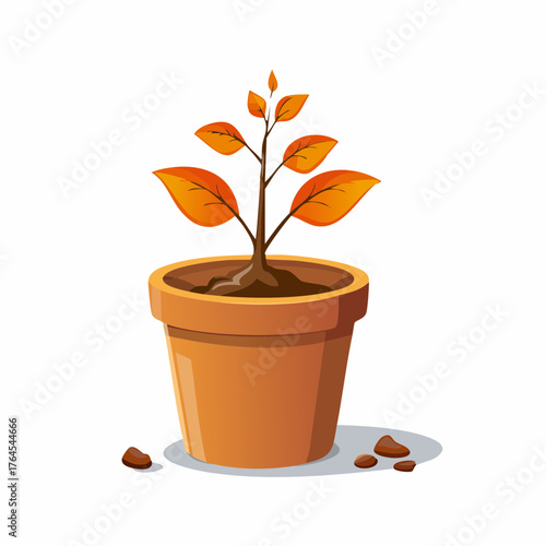 A tiny, struggling plant in a barren pot has wilted completely, its leaves brown and lifeless.