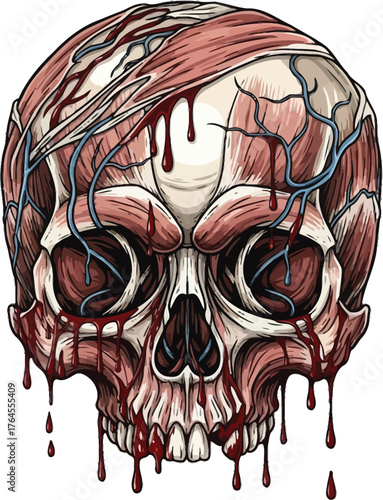 Vector art of gory illustration of a human skull with exposed muscle and blood