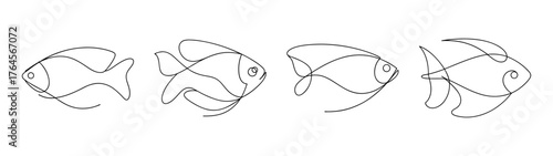 Detailed line art drawings of a pearl gourami fish from multiple angles showing intricate fin and body details
