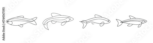 Four detailed line drawings of otocinclus catfish showing different poses and angles for aquatic life art