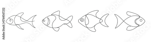 Collection of four stylized sketch drawings of tiger barb fish in line art style for aquatic themes