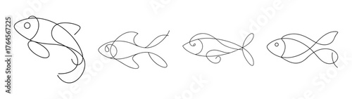 Four distinct molly fish sketches showing anatomical detail and fins with delicate line work