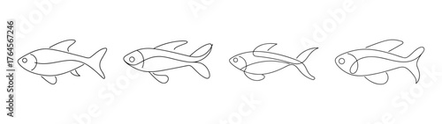 Four detailed line art sketches of neon tetra fish showcasing intricate fins and body details