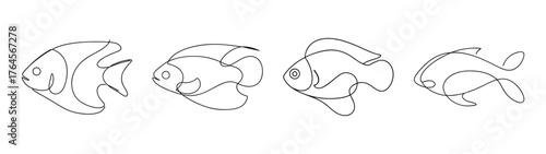Four line art sketches of an oscar fish in different poses and angles