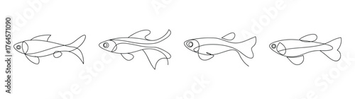 Four detailed line art drawings of endler's livebearer fish showing aquatic aquarium pets