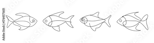 Black skirt tetra fish line art four views aquatic animal sketch collection isolated
